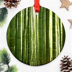 BAMBOO GROVE 2 Ornament (Round) 