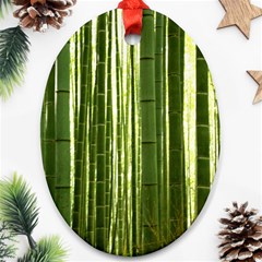 BAMBOO GROVE 2 Ornament (Oval) 