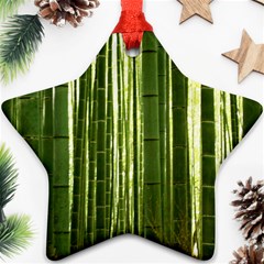 Bamboo Grove 2 Ornament (star)  by trendistuff