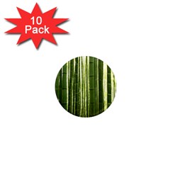 BAMBOO GROVE 2 1  Mini Magnet (10 pack) 