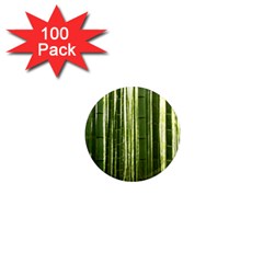 Bamboo Grove 2 1  Mini Magnets (100 Pack) 