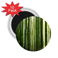 BAMBOO GROVE 2 2.25  Magnets (10 pack) 