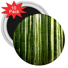 Bamboo Grove 2 3  Magnets (10 Pack) 