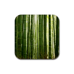 BAMBOO GROVE 2 Rubber Coaster (Square) 