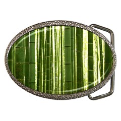 Bamboo Grove 2 Belt Buckles by trendistuff