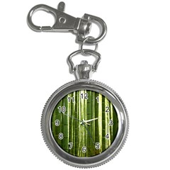 Bamboo Grove 2 Key Chain Watches by trendistuff