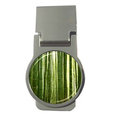 Bamboo Grove 2 Money Clips (round)  by trendistuff