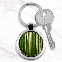 Bamboo Grove 2 Key Chains (round)  by trendistuff