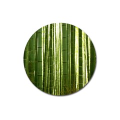 BAMBOO GROVE 2 Magnet 3  (Round)