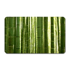 Bamboo Grove 2 Magnet (rectangular)