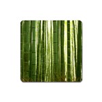 BAMBOO GROVE 2 Square Magnet Front