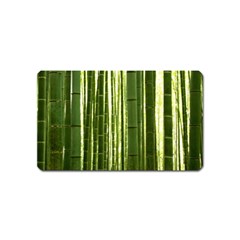 Bamboo Grove 2 Magnet (name Card) by trendistuff