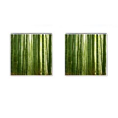 BAMBOO GROVE 2 Cufflinks (Square)