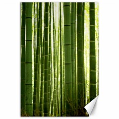 Bamboo Grove 2 Canvas 12  X 18  