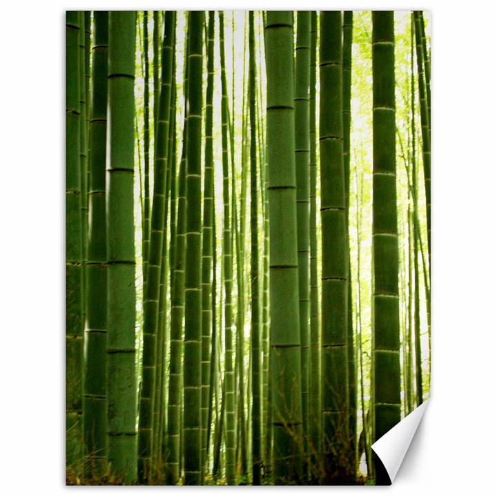 BAMBOO GROVE 2 Canvas 18  x 24  