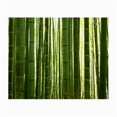 BAMBOO GROVE 2 Small Glasses Cloth (2-Side)