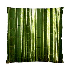 BAMBOO GROVE 2 Standard Cushion Cases (Two Sides) 