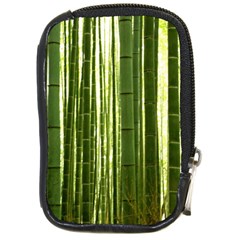 Bamboo Grove 2 Compact Camera Cases by trendistuff