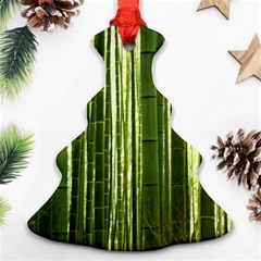 BAMBOO GROVE 2 Ornament (Christmas Tree)