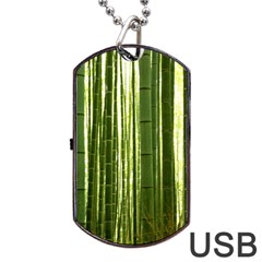 Bamboo Grove 2 Dog Tag Usb Flash (one Side) by trendistuff