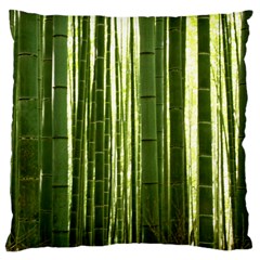 BAMBOO GROVE 2 Large Cushion Cases (Two Sides) 