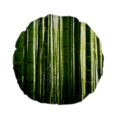 BAMBOO GROVE 2 Standard 15  Premium Round Cushions