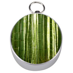 Bamboo Grove 2 Silver Compasses