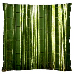 Bamboo Grove 2 Standard Flano Cushion Cases (one Side) 