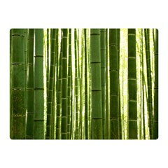 Bamboo Grove 2 Double Sided Flano Blanket (mini) 