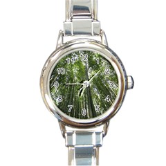 Bamboo Grove 1 Round Italian Charm Watches by trendistuff