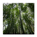 BAMBOO GROVE 1 Tile Coasters