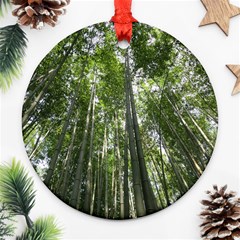 Bamboo Grove 1 Ornament (round)  by trendistuff