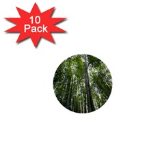 Bamboo Grove 1 1  Mini Buttons (10 Pack) 