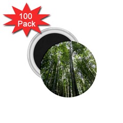 Bamboo Grove 1 1 75  Magnets (100 Pack) 