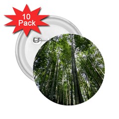 Bamboo Grove 1 2 25  Buttons (10 Pack) 