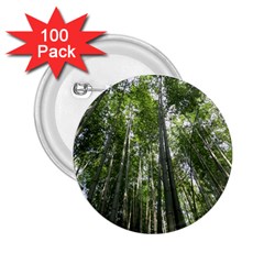 Bamboo Grove 1 2 25  Buttons (100 Pack)  by trendistuff