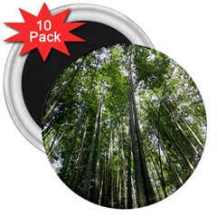 Bamboo Grove 1 3  Magnets (10 Pack) 