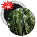 BAMBOO GROVE 1 3  Magnets (100 pack)