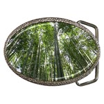 BAMBOO GROVE 1 Belt Buckles