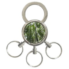 Bamboo Grove 1 3-ring Key Chains by trendistuff