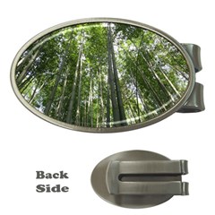 Bamboo Grove 1 Money Clips (oval)  by trendistuff