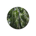 BAMBOO GROVE 1 Rubber Coaster (Round) 