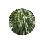 BAMBOO GROVE 1 Magnet 3  (Round)