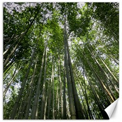 Bamboo Grove 1 Canvas 12  X 12   by trendistuff