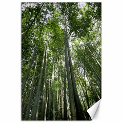 Bamboo Grove 1 Canvas 20  X 30   by trendistuff