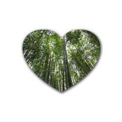 Bamboo Grove 1 Heart Coaster (4 Pack) 