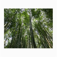 Bamboo Grove 1 Small Glasses Cloth (2-side) by trendistuff