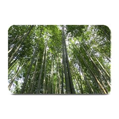 Bamboo Grove 1 Plate Mats