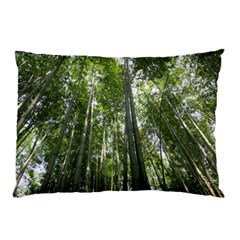 Bamboo Grove 1 Pillow Cases