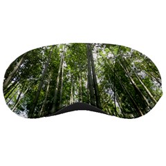 Bamboo Grove 1 Sleeping Masks by trendistuff